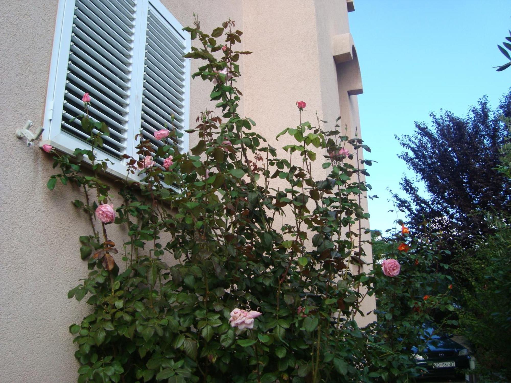 Apartment Eja Zadar