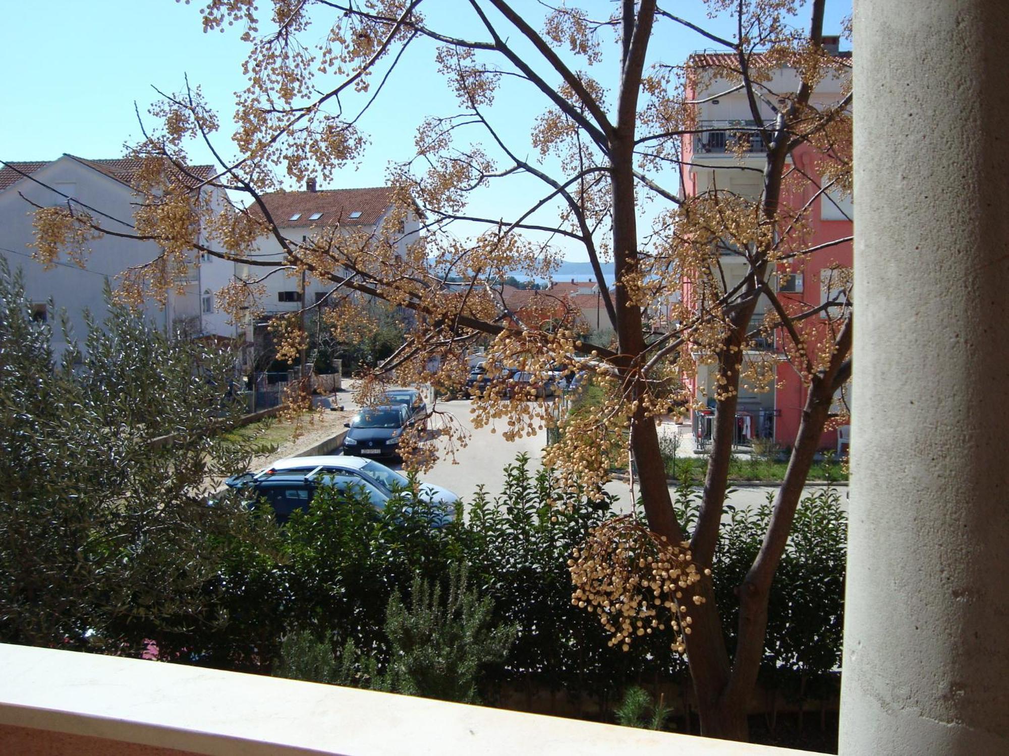 Eja